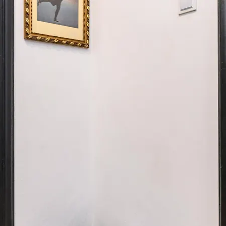 Colins Place Apartment Brasov